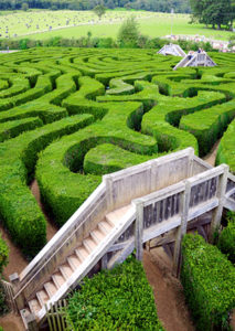 Supervision Coaching Dresden